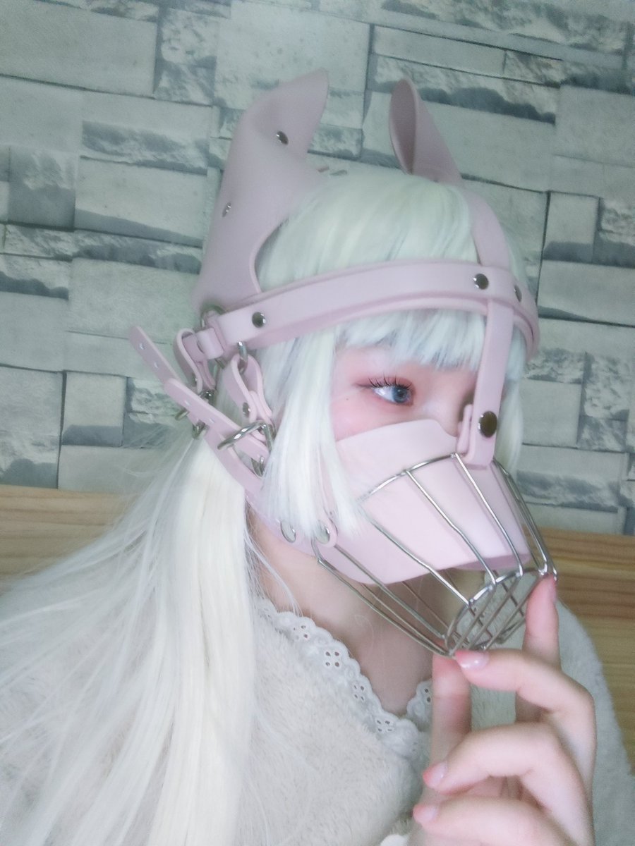 LambStudio_'s tweet photo. 最后偷偷告诉你一个秘密：小狗的心里没有冬天，因为它的整个世界，都是你
汪汪🐕 https://t.co/FuacmreYCP
