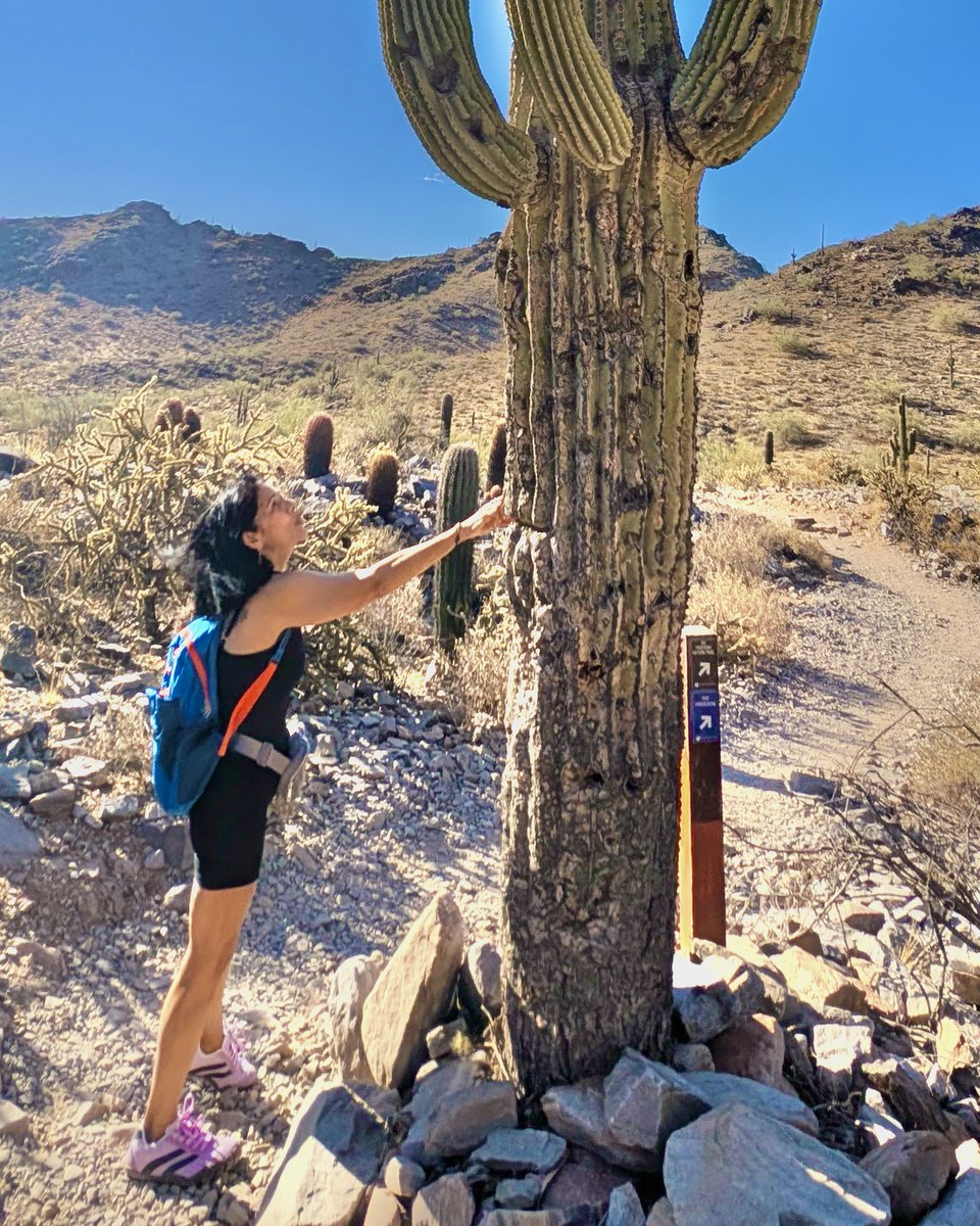maddesert's tweet photo. Mingling with Sonoran Desert giants! 🌵🐦‍🔥

Cynthia S.-E., NYC, encountered giant saguaros up close in cactus forests during a morning hike in the Phoenix Mountains, 07-06-26.

Mad Desert Trekking 🏜🦎💀🌵☀️
Intense Human-Powered Adventures in Phoenix + Scottsdale, Arizona https://t.co/hHoUKFxlKF
