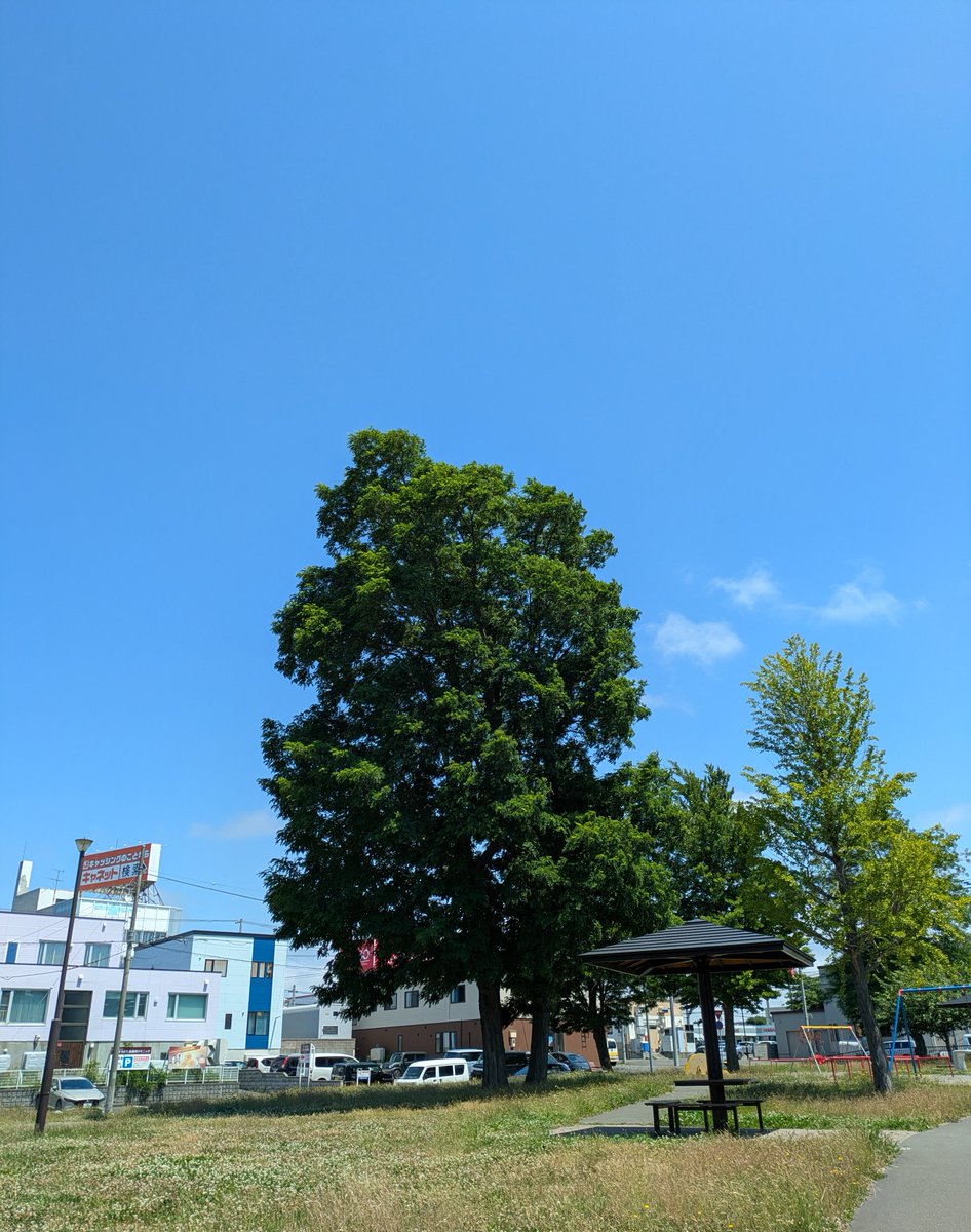 silverwaxrecord's tweet photo. 昼間に家にいるのは月に1、2度あるかどうかなんだけど、天気が良いので久々に近所の公園で日向ぼっこ🌞 https://t.co/1GTxNMksde
