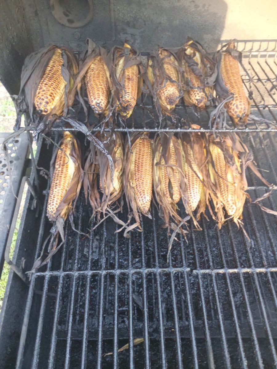 Countryladykay9's tweet photo. Just sitting here smoking some corn on the cob on the smoker 🌽🔥❤️#Nashville #LoveIslandDrama https://t.co/Nm8hK9maEg