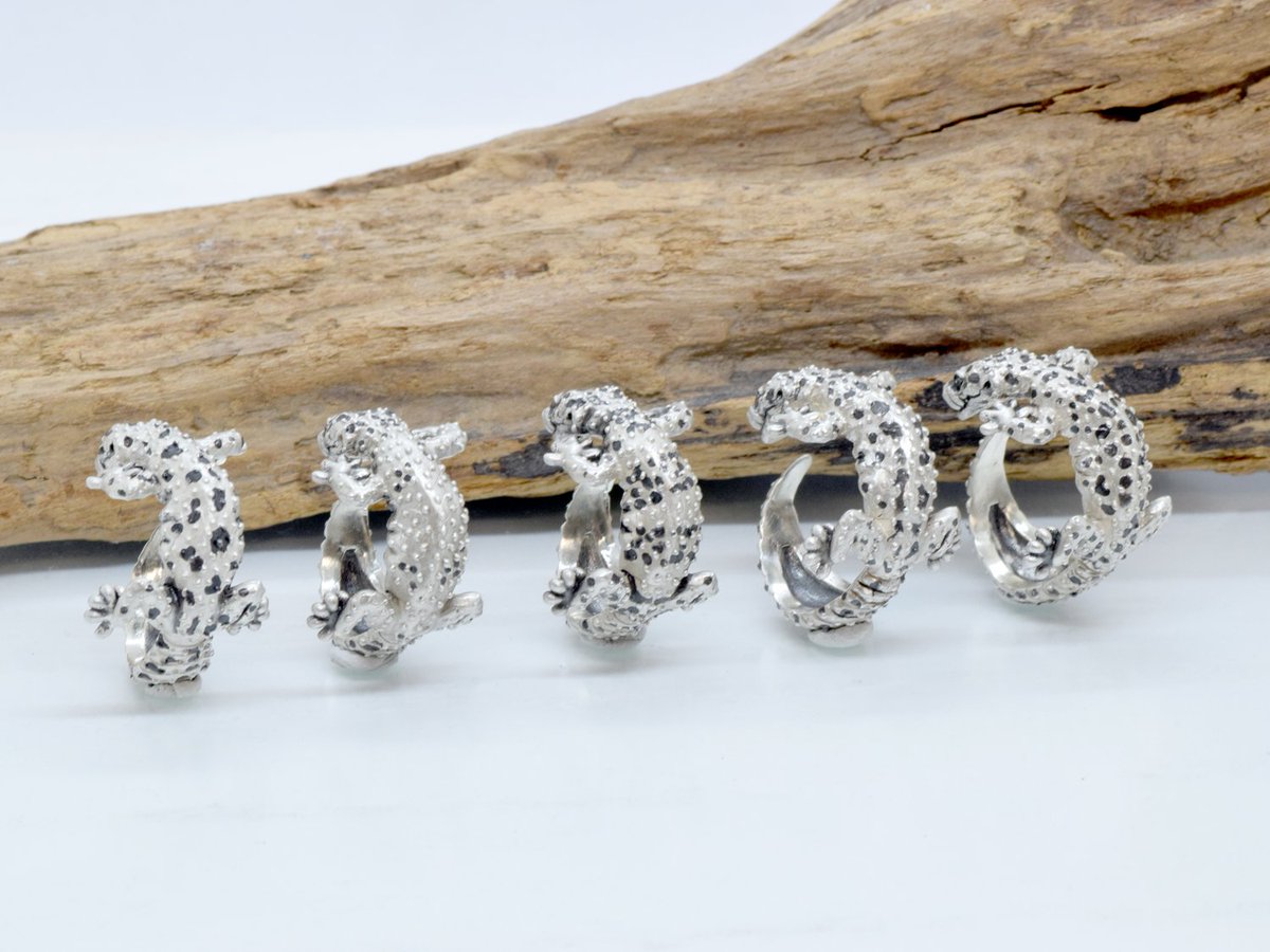 OutputJewelry's tweet photo. レオパゲッコーのシルバーリング。
5個完成しました。
それぞれ模様の違う個体です。
左から1.2.3個はサイズ13号前後。
左から4.5個はサイズ17号前後。

価格は各22000円税込ですが、次回の信州ハンドクラフトフェスタは各2万円税込で販売します。

レオパ好きの方お待ちしてます😊

#信州ハンドクラフトフェスタ