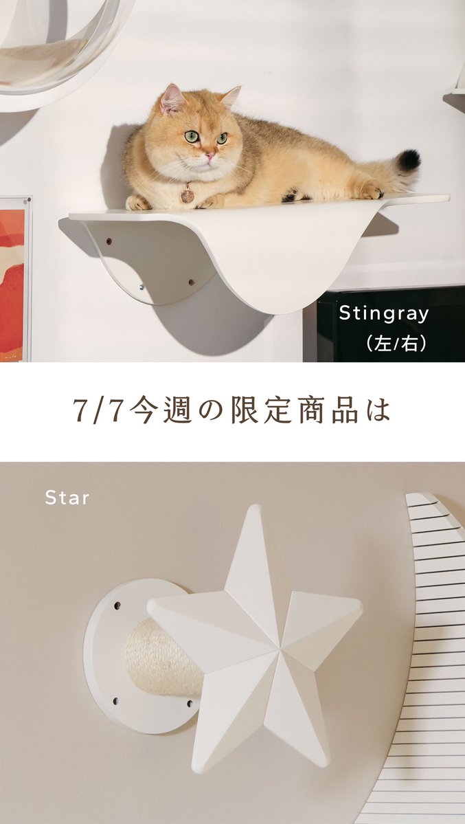 Star 星型のキャットステップ&爪とぎ 限定色・ホワイト 本日より数量