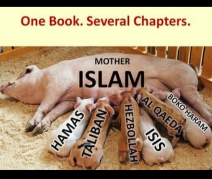 KindoSamurai's tweet photo. @ja99491 THE QUESTION IS ; DID GOD SPEAK TO MOHAMED ?..OR , DID SATAN SPEAK TO MOHAMED ? https://t.co/4SVfLuu3RK