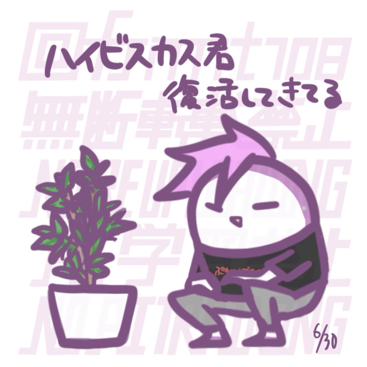 遡ってめよさん🌺と今日の🚩さん
