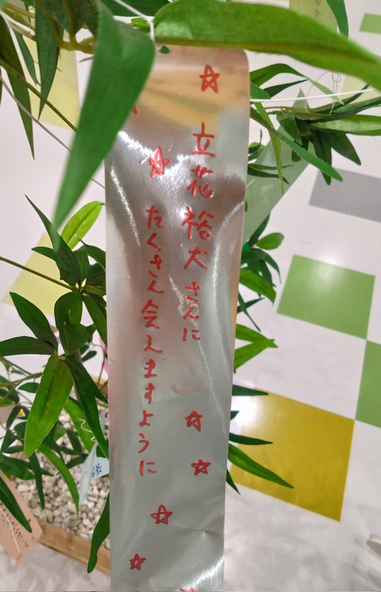 mihoho612's tweet photo. 🎋🌟🌌 https://t.co/lREkO5velc