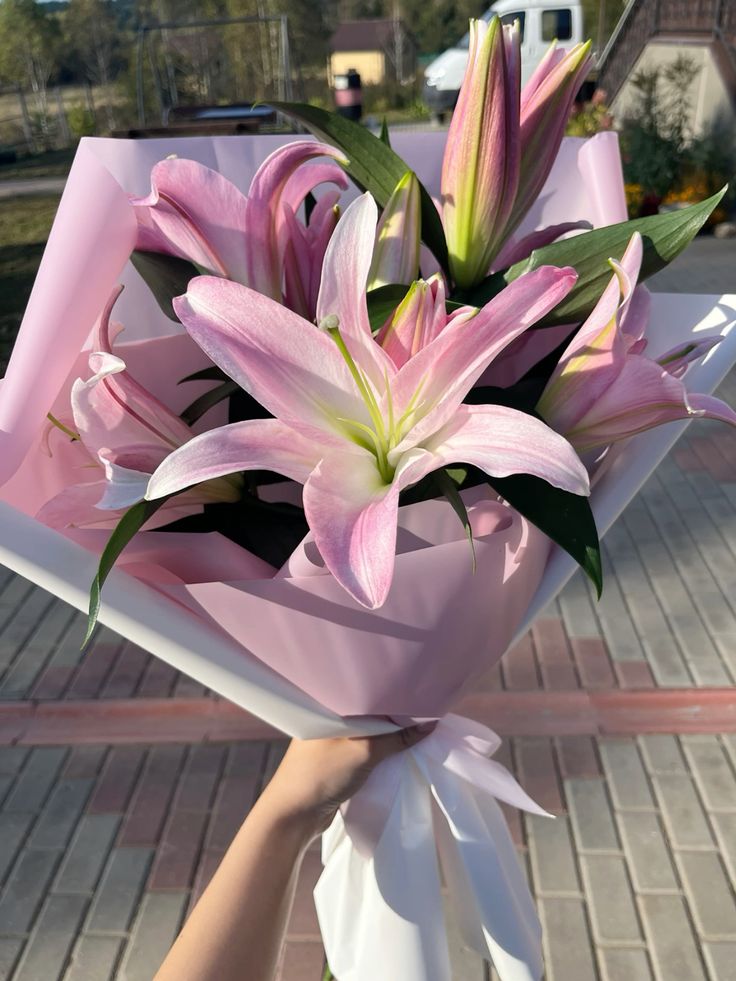 flowersplanettt's tweet photo. https://t.co/focRe9IwuB