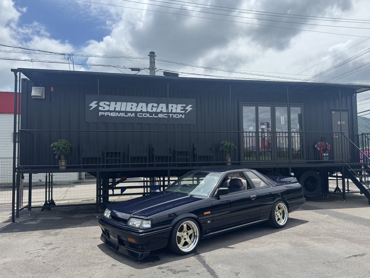 R31HOUSE's tweet photo. シバガレ、映えスポット📷作りました！ https://t.co/cXI5tdpDuh