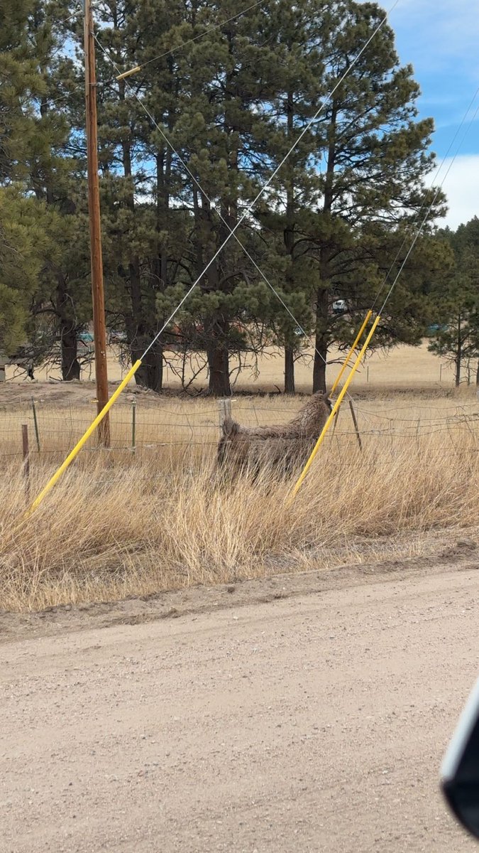 BraydonKoch's tweet photo. @Bob_Blaylock @spotted_model @Jeep “Looking like it was doing jeep stuff” HAHA 

I’ve done more jeep stuff in this car than you probably ever have. It doesn’t count unless you break things anyways. This was so far out into the middle of nowhere that I saw an alpaca on someone’s farm in Colorado. https://t.co/u6sll7jDXr