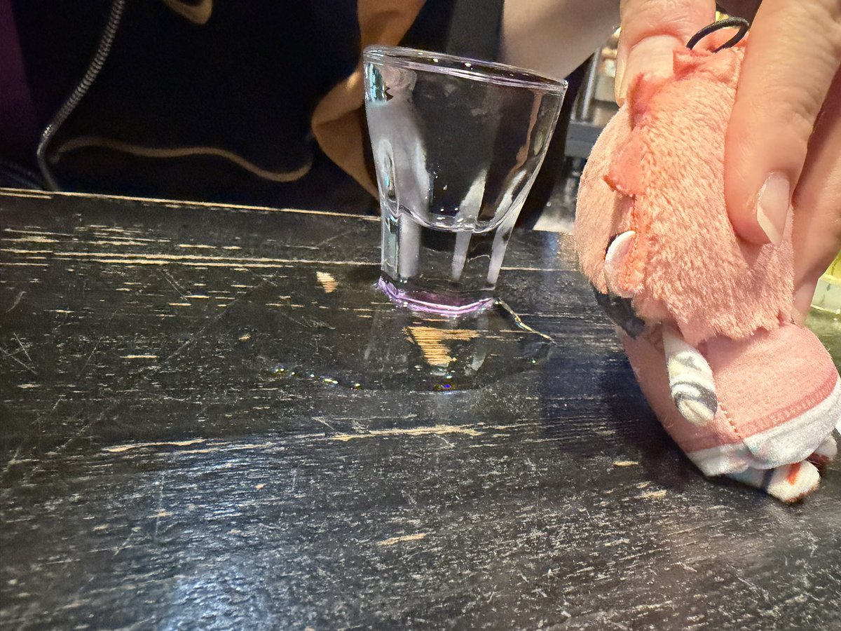 animyu_neru's tweet photo. 昨日はきのさんに酒を浴びせてきました🥃こうして並べるとセラ夫が寂しそうなのでやはりひばを買わなきゃいけないですね。 https://t.co/QhLdL0TMea