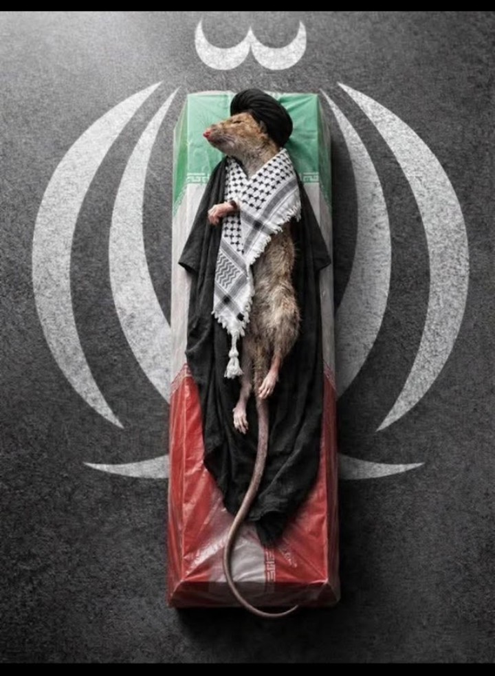 KindoSamurai's tweet photo. @NiohBerg @LauraLoomer Typical Muslim attitude !..The more you fuck them up , the more they bitch , they are masochist bitches ! https://t.co/rqfb99YeRs