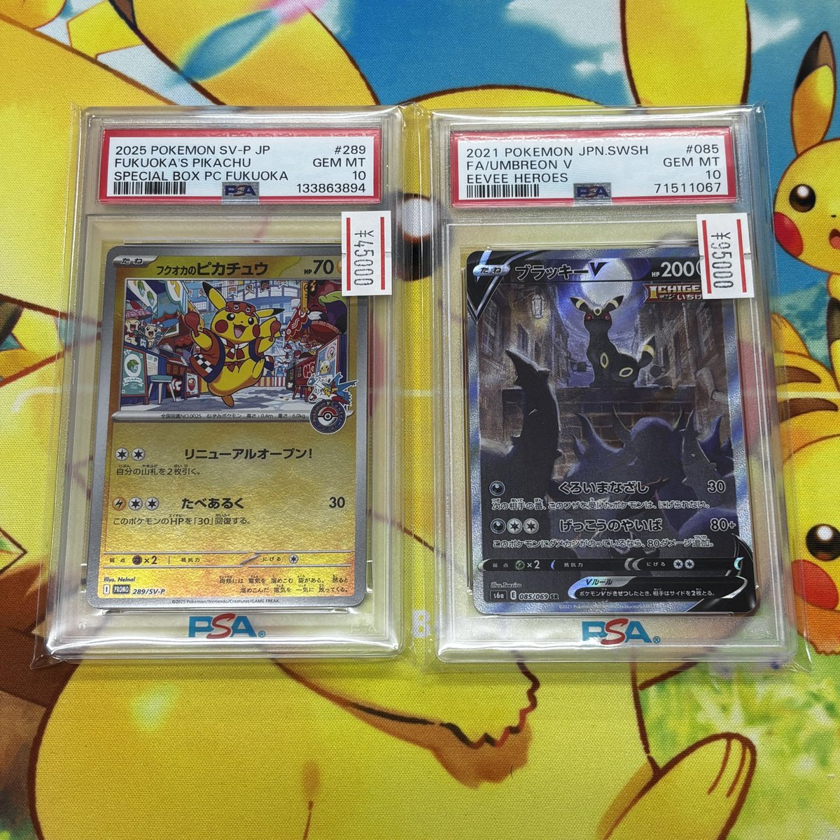 コレクターズショップニカ ブラッキーV SA PSA10 フクオカのピカチュウ