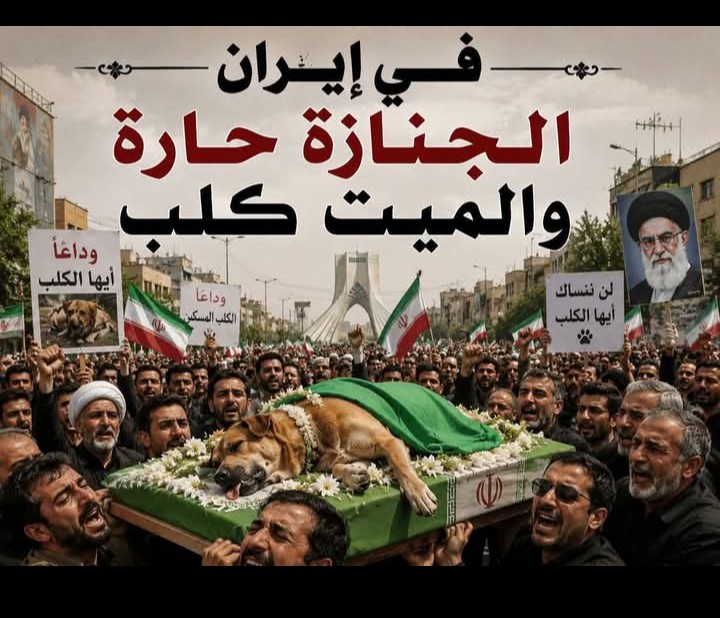 KindoSamurai's tweet photo. @LebForcesNews كل هذا من اجل جمهورية المخدرات والمتعة الاسلامية الايرانية https://t.co/XA0XU3Ynu4