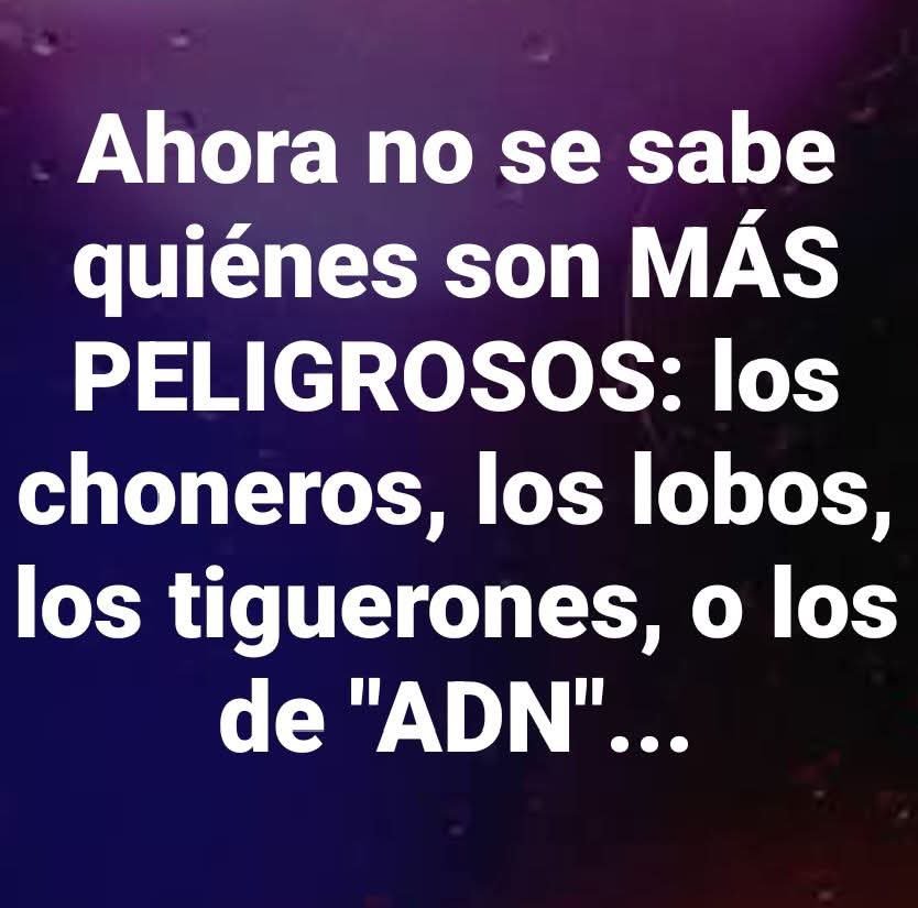 Dra. Grey tweet media