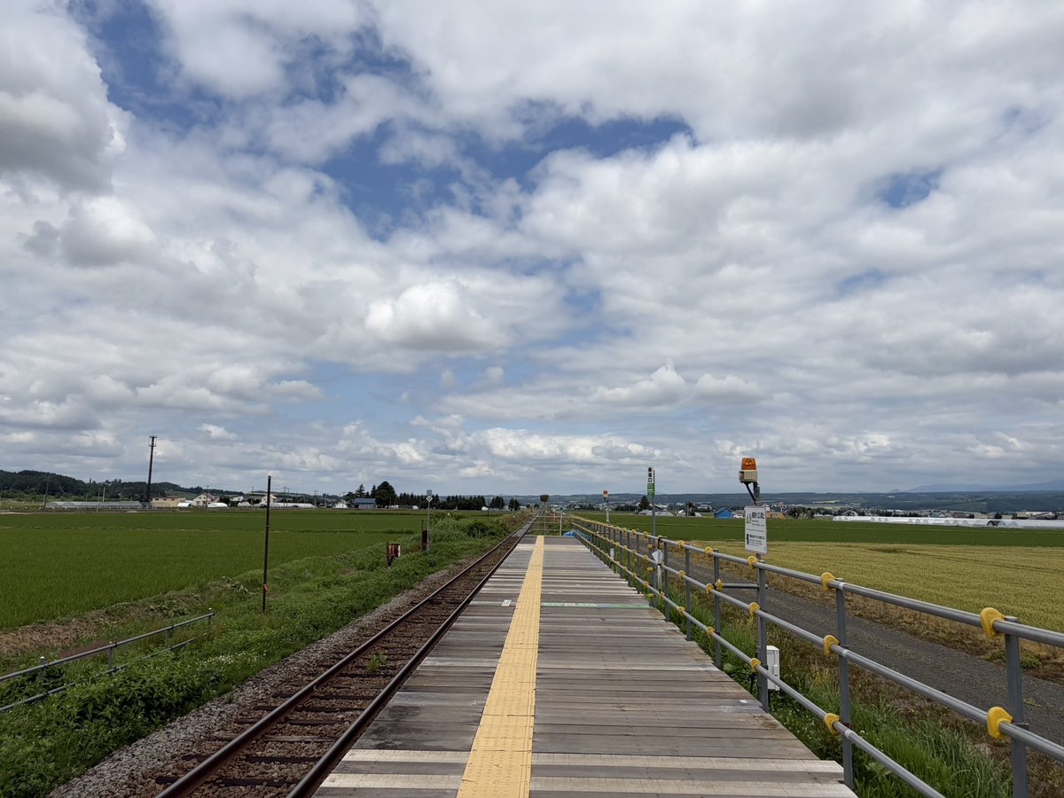 immigra16's tweet photo. ノロッコ2号をラベンダー畑駅で降りました〜
臨時駅ということで簡易的なプラットホーム、可愛い駅名標と広がる雄大な北の大地が開放的で気持ちいい駅です♪ https://t.co/L1m349nFZT