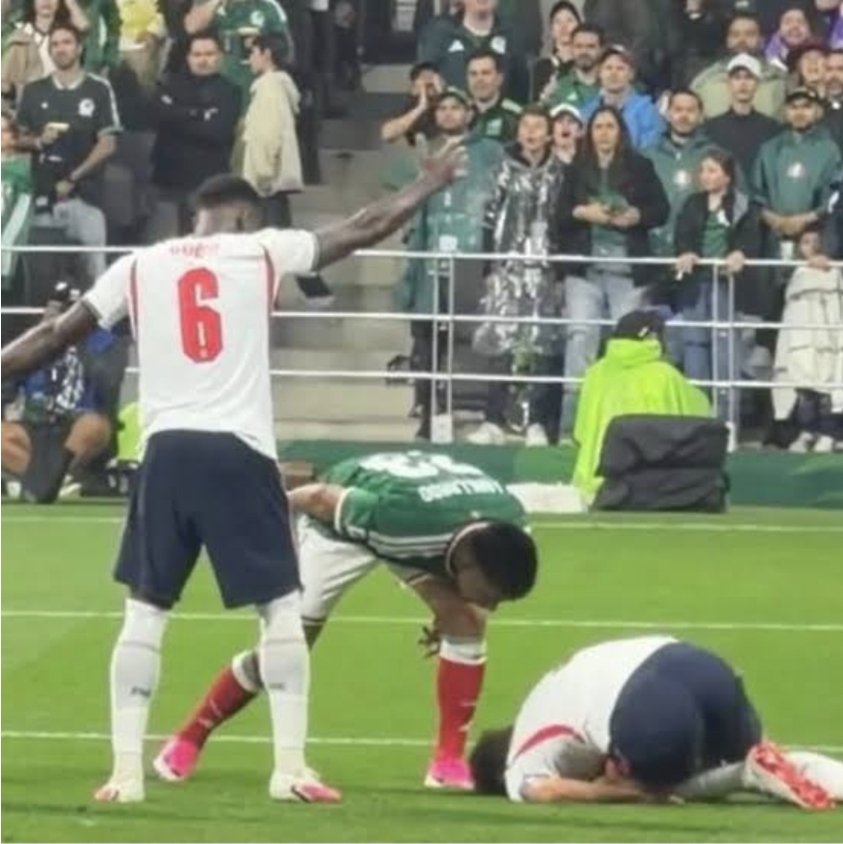 chiropptera's tweet photo. au | Kane x Gallardo 
do you hate me? so enemies to lovers 

Kane está seguro de que el mexicano cayó rendido por él y no se piensa detener hasta demostrarlo 

Gallardo nunca había conocido a un jugador tan llorón, odia a los ingleses y especialmente lo odia a él https://t.co/PCWhnRGpUI