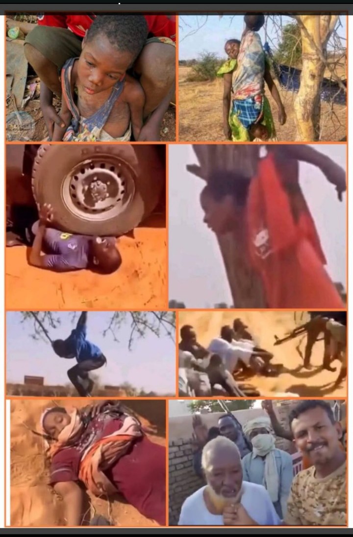 KindoSamurai's tweet photo. @cairo24_ لمذا لم يتكلم هذا الديوث عن مايحصل في السودان https://t.co/VeZZjebjnx