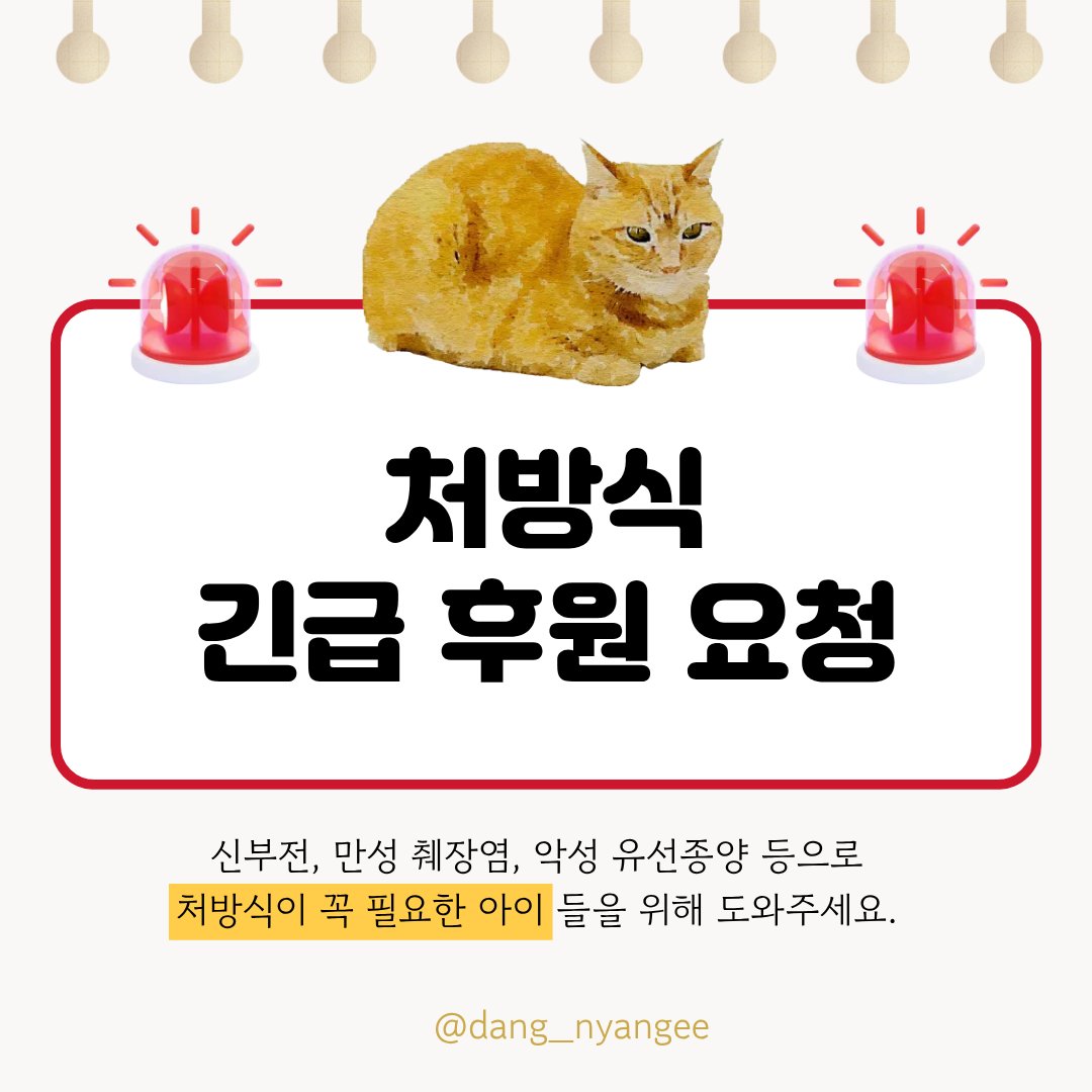 dang_nyangee's tweet photo. [RT] 🆘️ 처방식 긴급 후원 요청 드립니다 🆘️

요즘 중증 질환을 앓는 아이들과 호스피스 케어가 필요한 아이들이 늘어나면서 쉼터 운영이 정말 많이 힘들어졌어요.

두 달에만 개인적으로 병원비 2,000만 원이 넘는 금액을 할부로 결제했지만, 다음 주에는 악성 유선종양 판정을 받은 노령묘 한 아이가 또 수술을 앞두고 있습니다..

아픈 아이들이 많다 보니 대부분 처방식을 먹어야 하는데, 처방식 가격도 너무 비싸 매번 구매할 때마다 큰 고민이 됩니다. 그래도 아이들의 건강을 위해서는 절대 포기할 수 없는 부분이에요.

지금도 많은 아이들이 치료를 받으며 하루하루 버티고 있습니다. 아이들이 아프지 않게, 따뜻한 쉼터에서 계속 살아갈 수 있도록 조금씩만 손을 내밀어 주세요. 

부디 아이들이 치료를 포기하지 않도록 함께 힘이 되어주세요. 정말 진심으로 감사드립니다.

후원 및 문의는 언제든 DM으로 부탁드립니다. 감사합니다.