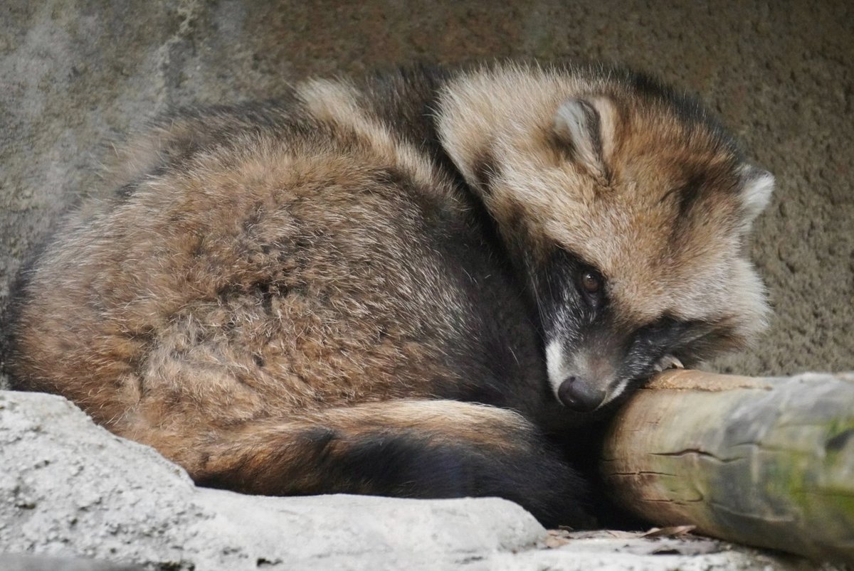 kzncfk's tweet photo. THE MUSIC DAY見たよ〜
みやざきコラボのパフォーマンス、スゴイ魅力的で良かったよ☀🌴
知育菓子 食べてみました動画もありがとう🫶🍦 https://t.co/RrUTyLlRgY