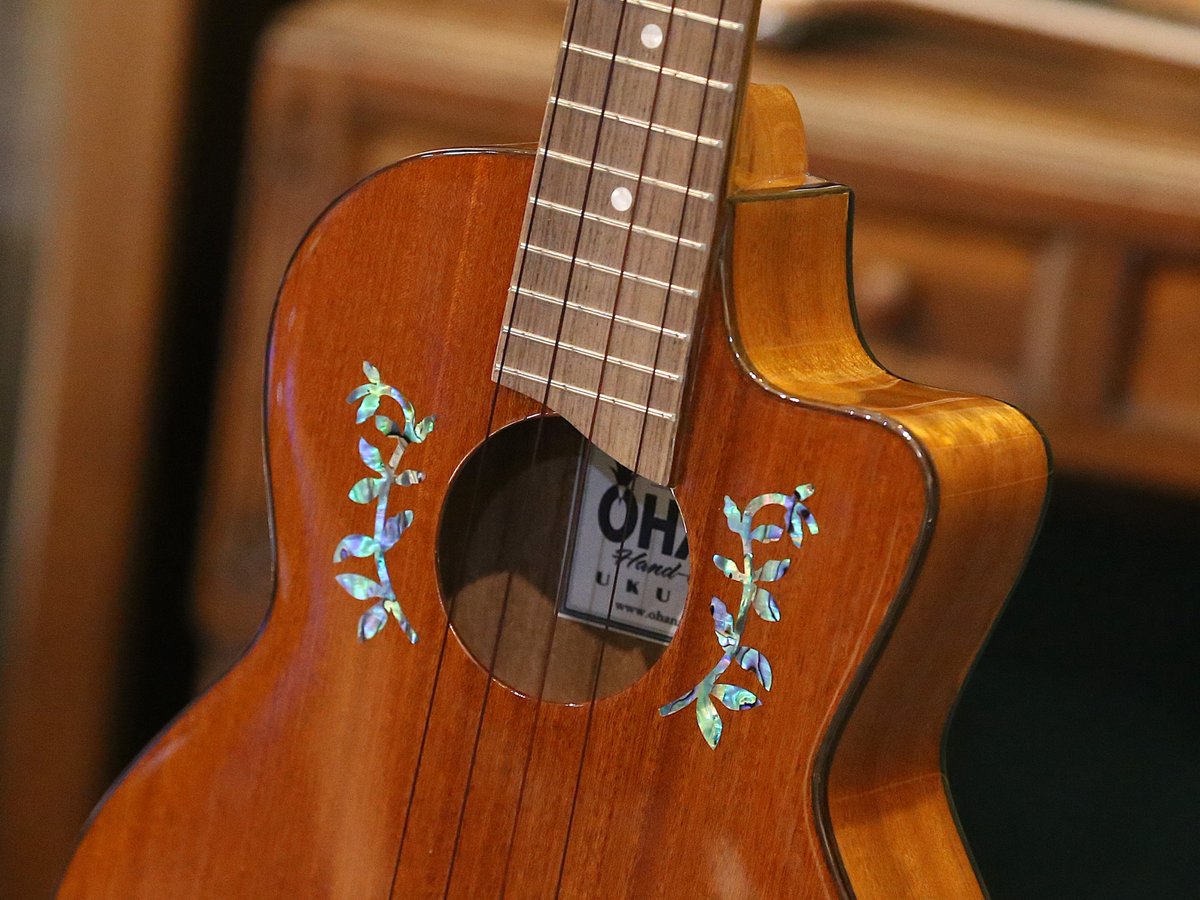 🆕Ohana Ukuleles TK-60CGが入荷しました！！ オール単板マホガニーを