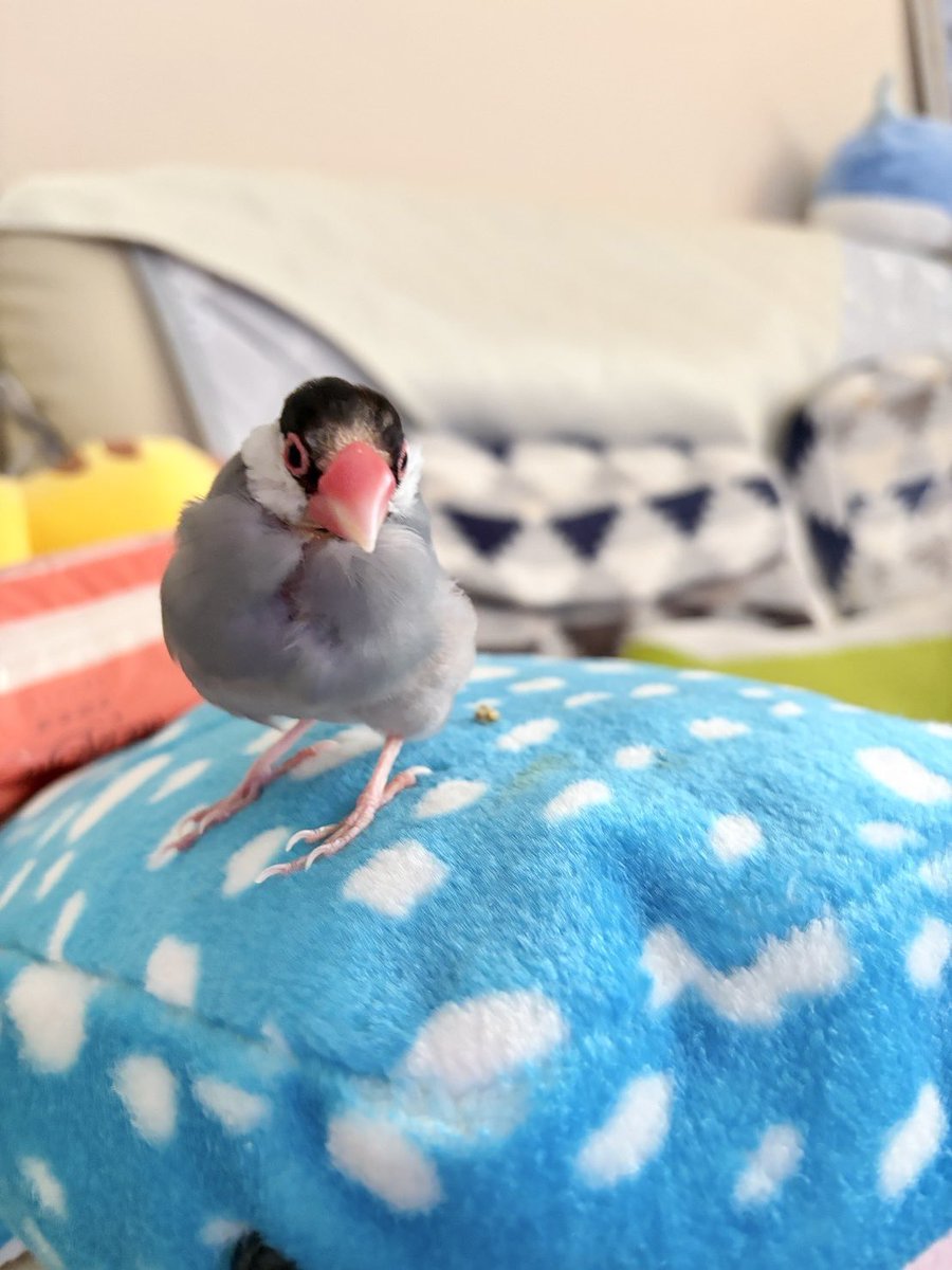 lstk4's tweet photo. おはようございます☀ https://t.co/xti9WEM7Go