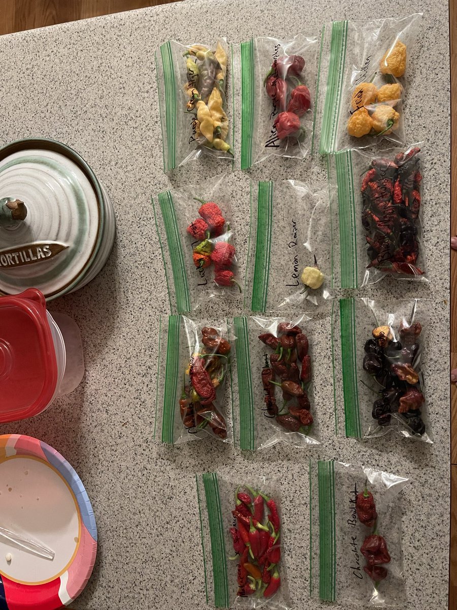 Punctualpepco's tweet photo. Just a few spicy peppers 🌶️ 🔥🔥 https://t.co/ABKjgawQ5d