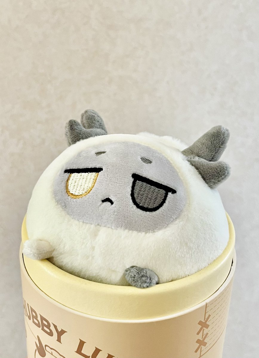 yanainayn's tweet photo. ヤバ可愛いので再販があったら買ったほうがいい https://t.co/wRg9fiwux1