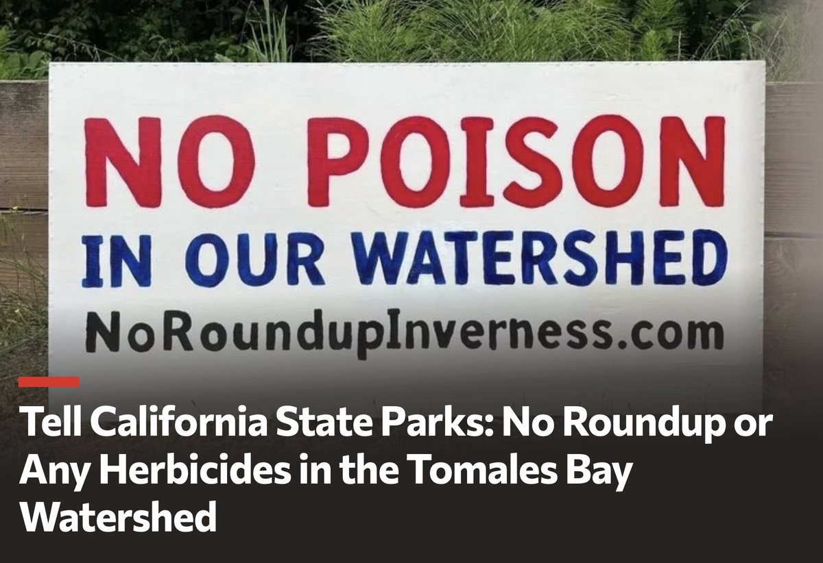 GMOScience's tweet photo. CA is in love with pesticides.  The CA Parks Dept. thinks this is a great way to mitigate fires, supported by an EO from @GavinNewsom signed last year.  Poisoning/dessicating the environment weakens the ecosystem and creates greater fire hazards.  

@JaredHuffman @SecKennedy @GlyphosateGirl @stephanieseneff @ReinetteSenum @GMOFreeUSA @GMWatch @ChildrensHD @momsacross 

Please sign the petition:

https://t.co/hyYH0QFvTY