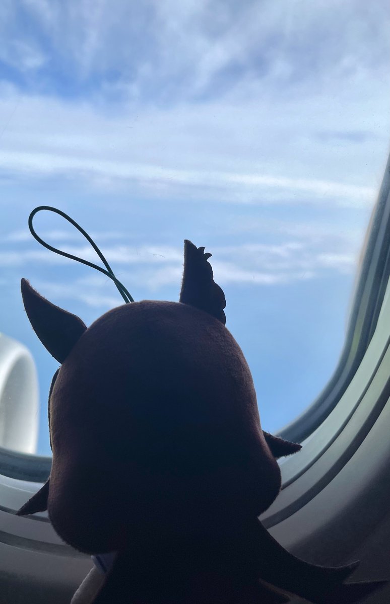 siriussuki's tweet photo. https://t.co/v5x6MDjOiw