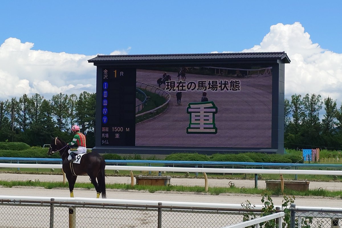 ACOG_ALKASET's tweet photo. せっかくやってたので🐴 https://t.co/fZLdSfzPng