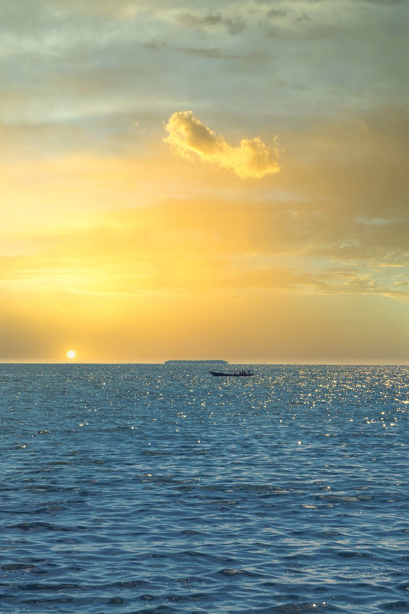 thegreatestsami's tweet photo. let’s see the sea through your camera roll. https://t.co/aJp6oMinRP