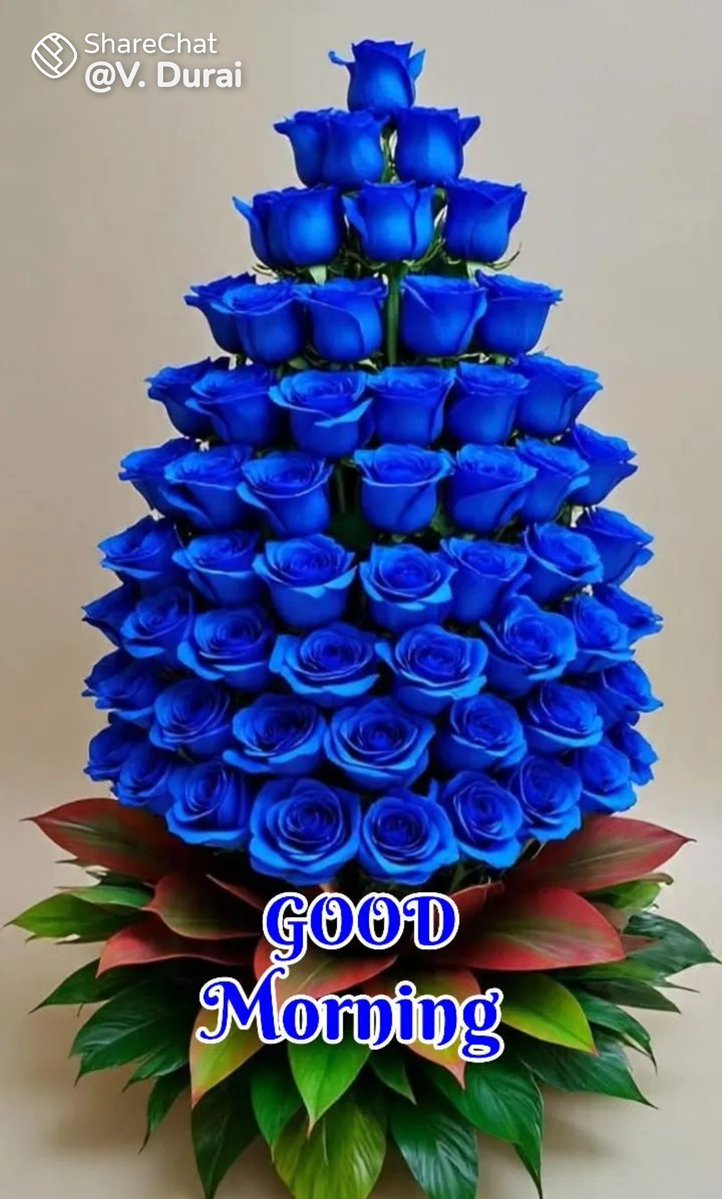 jayaramanmk01's tweet photo. @selvi115257862 https://t.co/RfBIrV1IaV