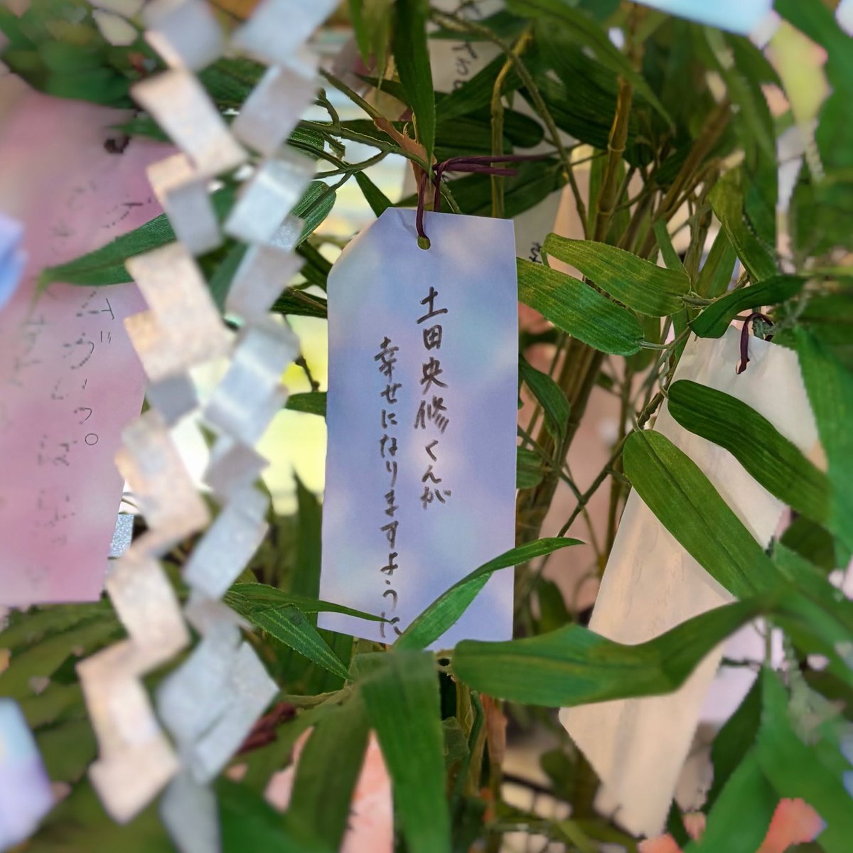 s2___hr's tweet photo. ←願いごと                                        予言→

土田央修くんが幸せになります！ https://t.co/P5Q3ZgIOuI