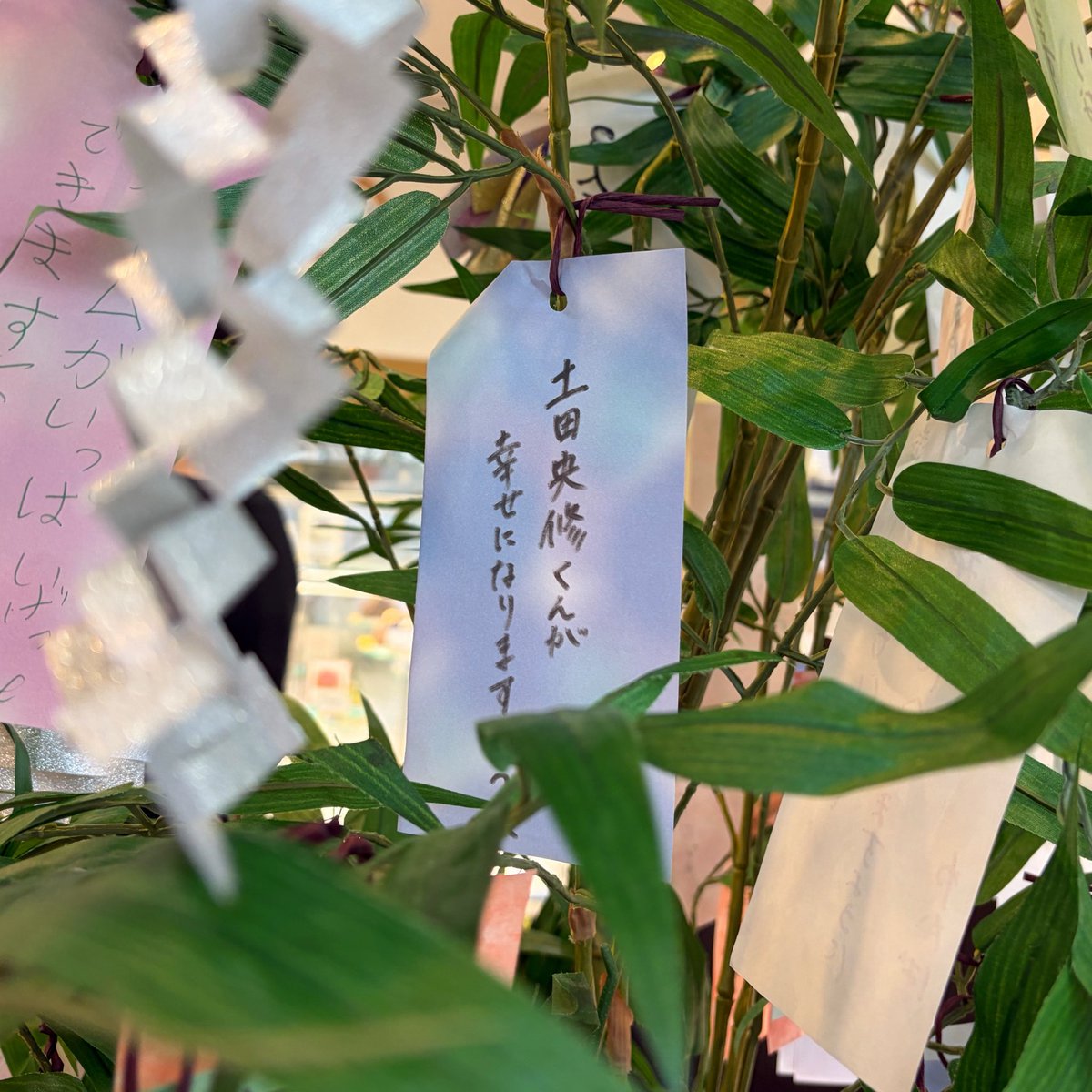 s2___hr's tweet photo. ←願いごと                                        予言→

土田央修くんが幸せになります！ https://t.co/P5Q3ZgIOuI