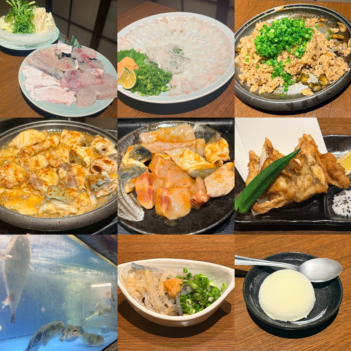 tabe_account's tweet photo. 🐡ふぐと鯨

とらふぐVIPフルコース 8800円
皮湯引き 大アラてっちり ふぐしゃぶ
鍋皮 大皿てっさ とらふぐ唐揚げ 
陶板焼きふぐ 雑炊 デザート https://t.co/8Ys9wKPUIv