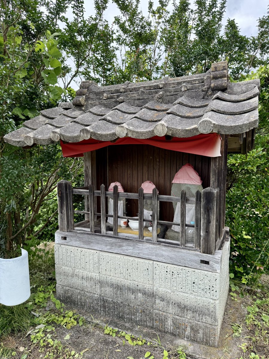TwentyExpress's tweet photo. 旅する蓮メリということで

去年も行ったが今年は某即売会の景気付けで七夕坂に行く人は増えそう

今日は夏にしては過ごしやすい天気で何より🎋 https://t.co/IiBmbB4MGN
