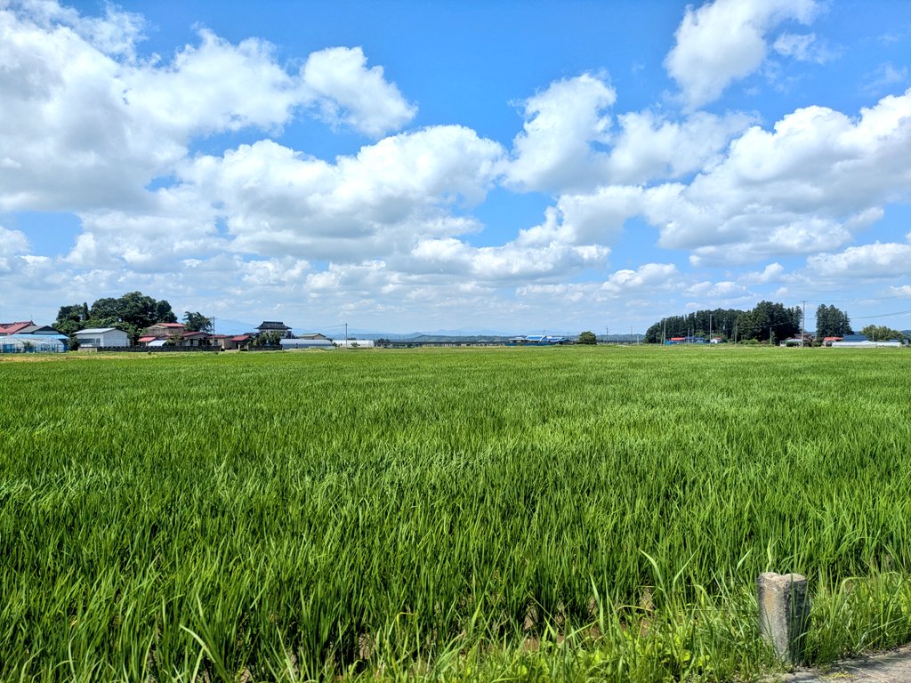 isoborom's tweet photo. 今日のおさんぽ https://t.co/kMaNoDH1mt