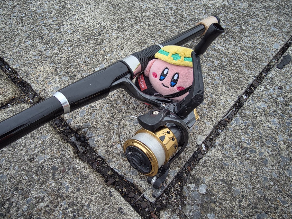 poyo081's tweet photo. https://t.co/WHiQsVtAia