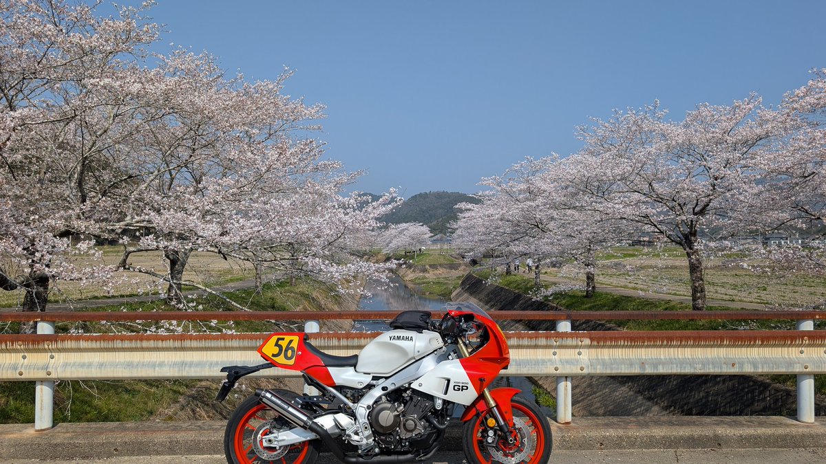 NGY201055's tweet photo. 令和8年7月7日〜XSR900GPが家に来て2年！これからもよろしく！ https://t.co/ZMSbAkvv2a