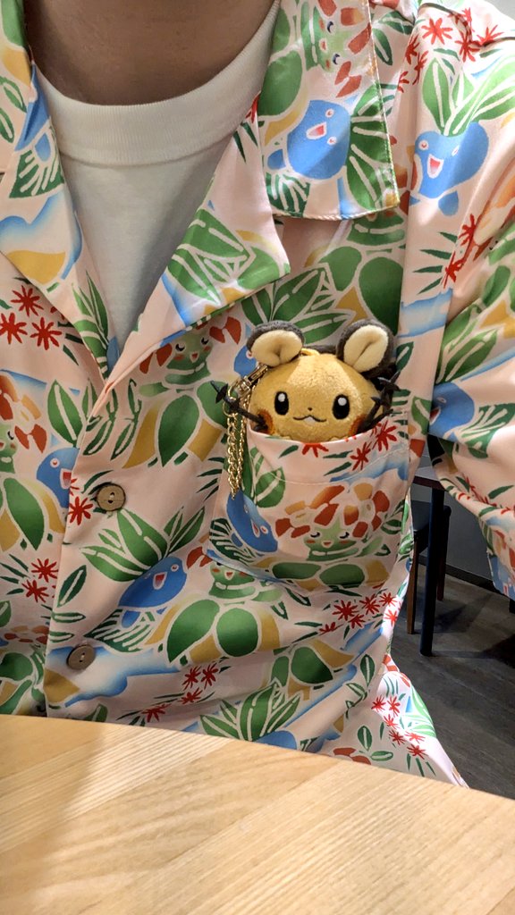 pokeog03's tweet photo. 日曜日は調子乗ってコンシェルジュのアロハとポケットにデデンネを入れて連れ歩いていましたが
「こら！見ちゃいけません！」
的な声も聞こえてきたので、マジで通報されなくて良かったなって

アラフォーおじがぬい連れ歩くとか、もう“妖怪”ですからね

帰宅後妻には「はしゃぎ過ぎw」言われました😂 https://t.co/ny6Ix9iIel