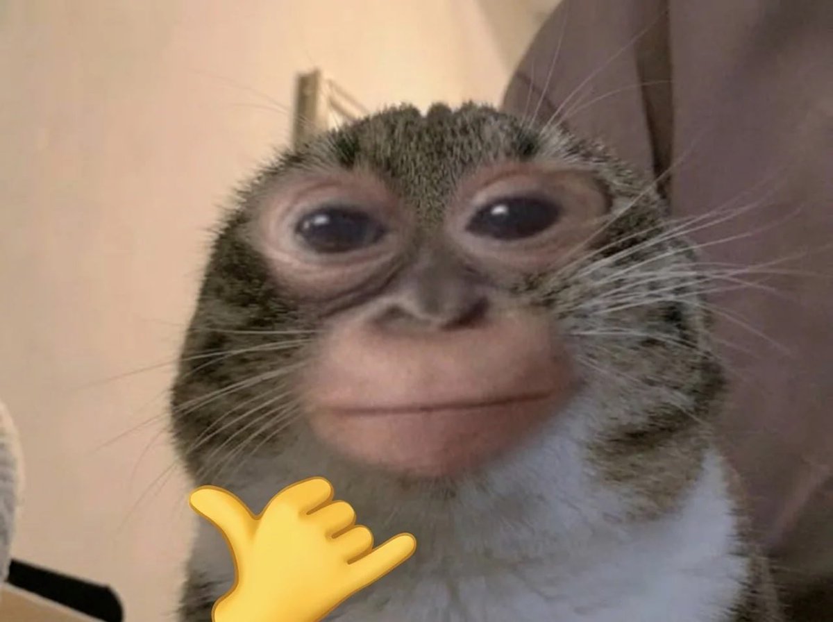 munkeypump's tweet photo. munkey rigby https://t.co/U4ASxb4XJr