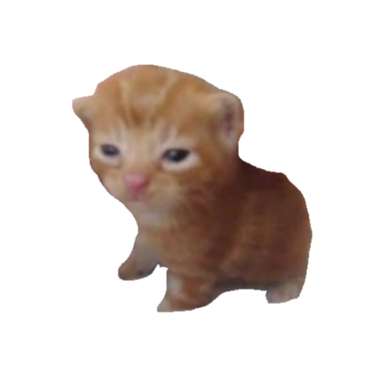 fearonchain's tweet photo. When was the last time we sent a real meme?

And I dont mean something with fees to some kol, not something from a TikTok trend, not something that elon posted or about ansem or the current "meta".

A real meme. 

Something random. Something with no fucking narrative, lore or fees. 

Just an image and a random funny name.

We havent bonded a coin like this in months.

Yet this is the origin of memecoins. This is what it used to be and what used to attract normies. The simplicity and just good vibes. 

Not pvping and vamping the same fee slop narrative over and over again or fighting over news coins.

---

I found this random cat with 19 likes on pinterest.

And I named it $jit. 

Thats the coin.
