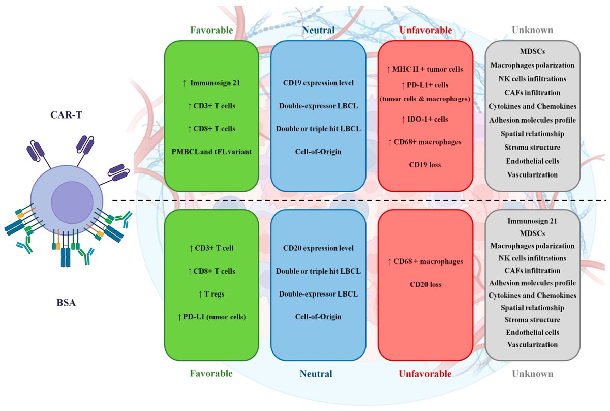 Cancers_MDPI's tweet photo. 📰Review: The Role of the Tumor #Microenvironment in T-Cell Redirecting Therapies of Large B-Cell #Lymphoma: Lessons Learned from CAR-T to Bispecific #Antibodies
✍️by @lepikurian and Vladislav V. Markelov
👏7 citations so far
Access at➡️ https://t.co/mhK2FjyR6j https://t.co/tpHE9vjF4R