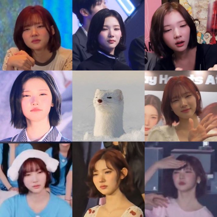 picscjiwoo's tweet photo. jiwoo mood: (ᵕ—ᴗ—) https://t.co/jwZpJHQ3ew