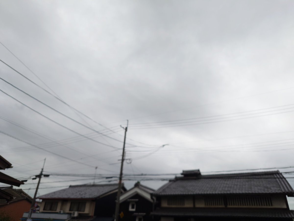 jastem64's tweet photo. 曇り空が続いています。
蒸し暑くなってきました。
（京都市南区）
#イマソラ
#いまそら
#空がある風景
#空ネット
#空が好きな人と繋がりたい
#ウェザーリポート
#ウェザーニュース https://t.co/GzmxlAioe8