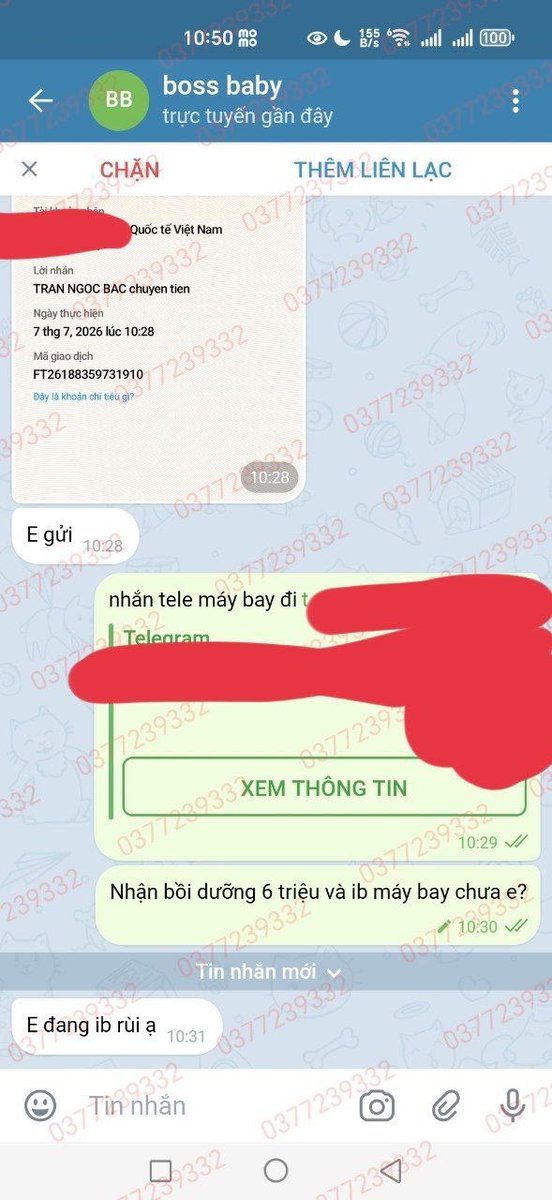 mbbgbt's tweet photo. Done kèo. 01282 Phục vụ quý cô nhận bồi dưỡng uy tín, ko phát sinh cước phí. Đi liền
ib tele https://t.co/EPzlDCxQQx nhận kèo https://t.co/Pk50pV7sZp