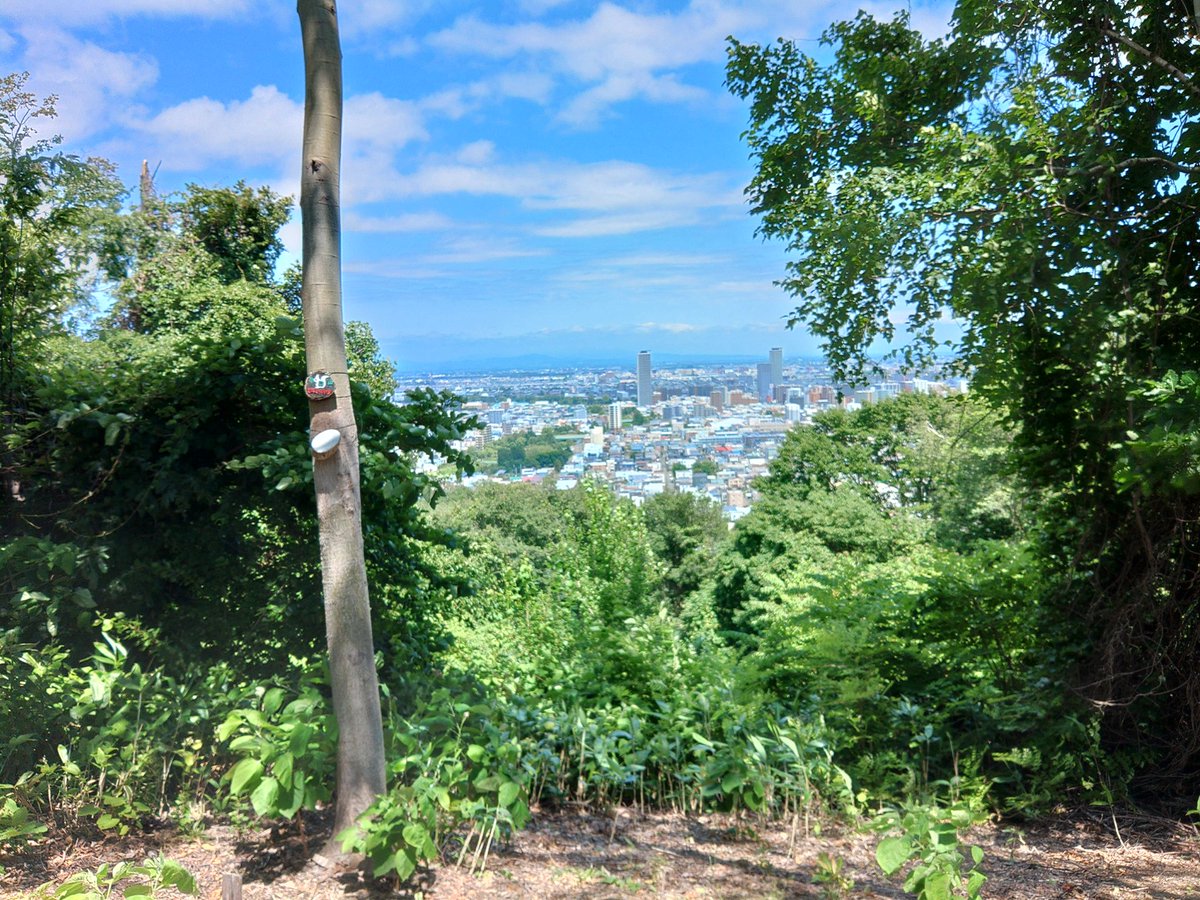 elista_flat's tweet photo. 先週行けなかったルートに挑みました！
赤坂山！

低いけど、意外と穴場なのでは？🤔✨

しかし、三角山→赤坂山ルートのソロ怖い🤣

風の音が強めだったので、ついにホイッスル吹きながら歩いた🤭

今日はポールも置いてきたから、拾った木の枝を少年のように振り回しながら🙈
(※主にクモの巣避け) https://t.co/NbVfCNfOxK