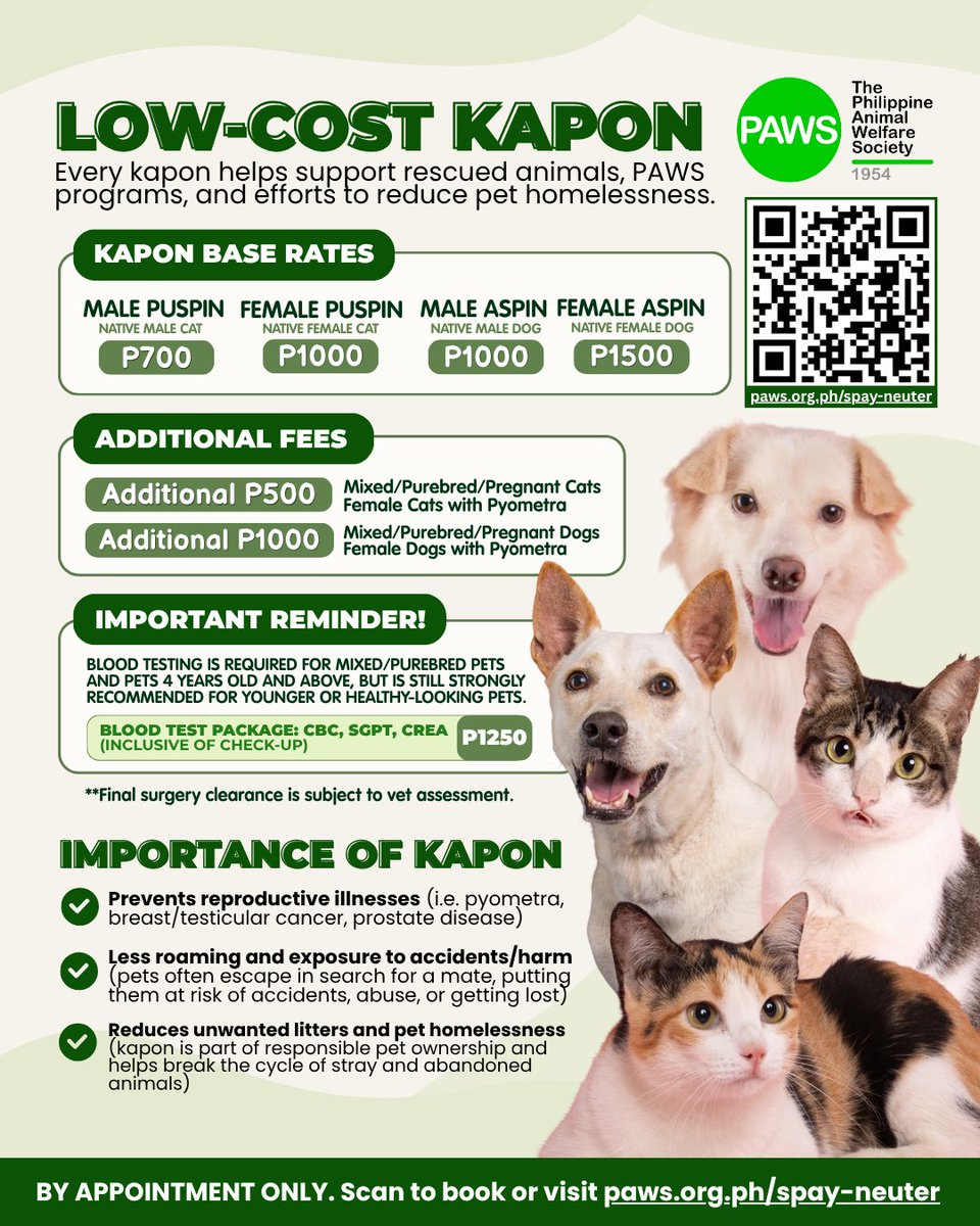 PAWSPhilippines's tweet photo. 𝗣𝗔𝗪𝗦 𝗟𝗢𝗪-𝗖𝗢𝗦𝗧 𝗞𝗔𝗣𝗢𝗡 💚🐾

Kapon is part of responsible pet ownership. It helps protect pets from reproductive illnesses, supports their long-term health, and helps reduce pet homelessness. https://t.co/dTEjCotV77