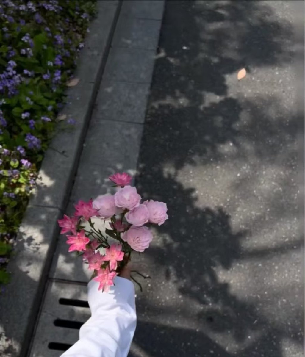 ningmeng856's tweet photo. 送你一束花 https://t.co/0awQvbKmtI