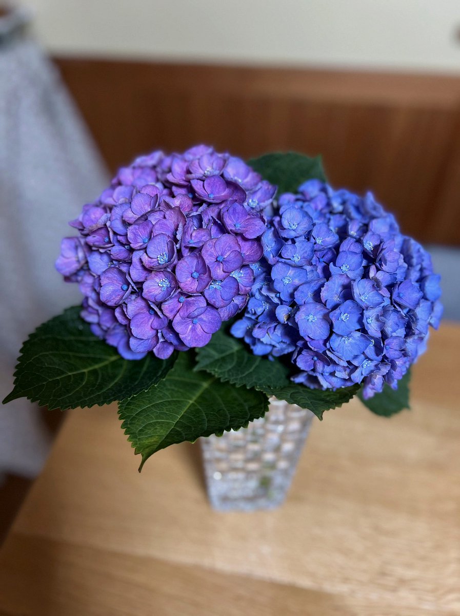 nlpire's tweet photo. 今年はけっこう新譜をディグってるぞ https://t.co/0dqeIReBUr