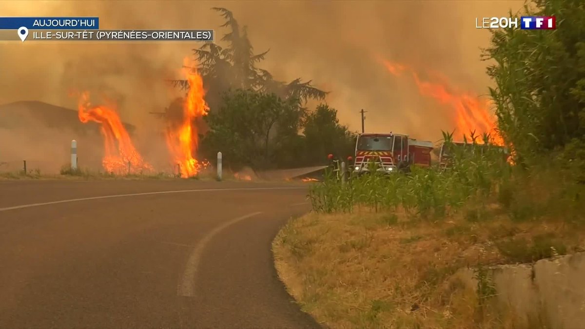 CaporalLusignan's tweet photo. Natif des Pyrénées-Orientales, voir ma terre brûler aujourd’hui me fend le cœur. Ces paysages qui ont bercé mon enfance, ces villages, ces collines partent en fumée sous nos yeux 😥

Une pensée immense pour les habitants touchés, et une gratitude infinie envers nos pompiers qui se battent jour et nuit avec un courage extraordinaire pour protéger des vies et sauver ce qui peut encore l’être. 

Les Pyrénées-Orientales souffrent, mais elles ne sont pas seules ❤️🔥🚒🧑🏼‍🚒

#PyrénéesOrientales #Incendie #Pompiers